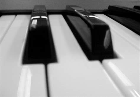 Piano Keys | Sharp & Natural Keys on an Electric Keyboard | R7926 | Flickr