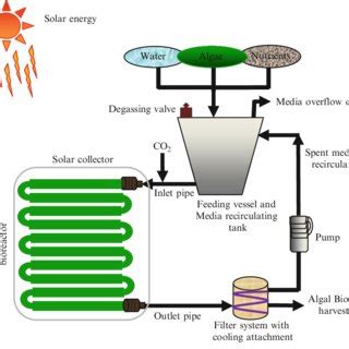 Cyclic representation of biofuel production from algae. | Download Scientific Diagram