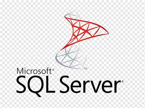 Microsoft SQL Server SQL Server Management Studio Database Server ...