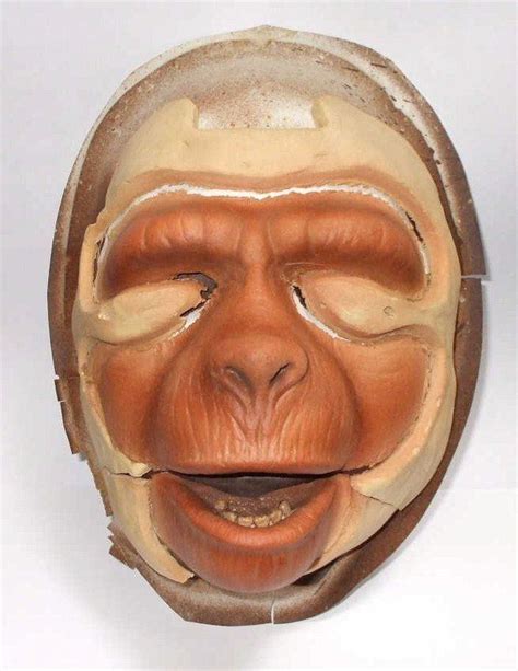 Apes Makeup Prosthetics | Prosthetics, Special effects makeup ...