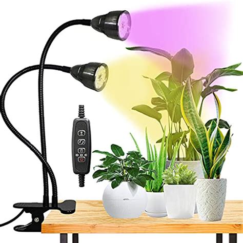 Top 13 Best Grow Lights for Succulents