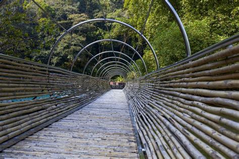 Bamboo Bridge Design Over the River in the Park Stock Photo - Image of elevated, adventure ...