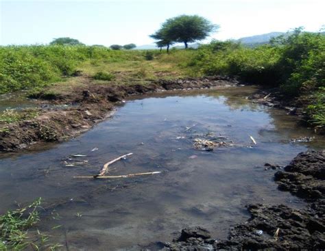 Silt deposition in tertiary canal. | Download Scientific Diagram