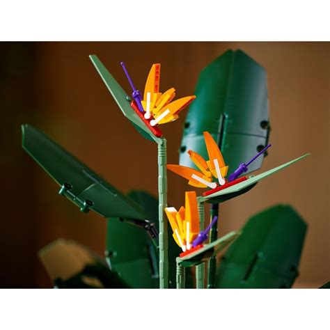 LEGO 10289 Bird of Paradise - לגוהיטס