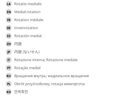 Medial rotation - e-Anatomy - IMAIOS