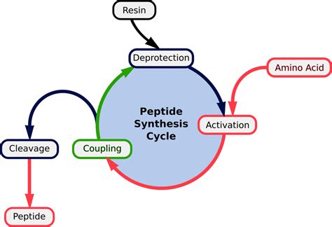 Peptide Synthesis - Methods and Reagents