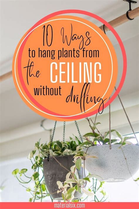 How to Hang Plants without Drilling a Hole in the Ceiling | Hang plants ...