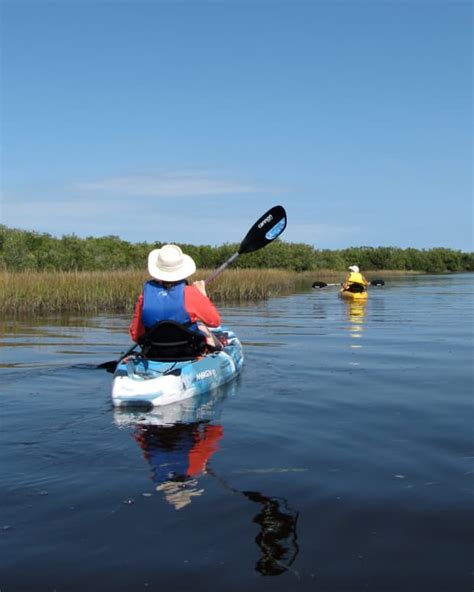 Florida Kayaking: Werner Boyce Salt Springs State Park - WanderWisdom