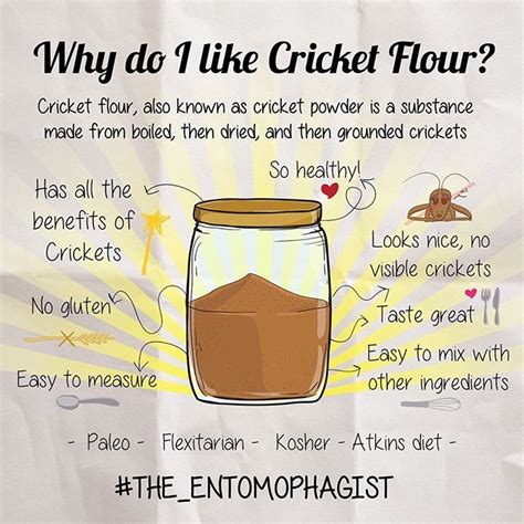 a poster with instructions on how to make a cricket flour