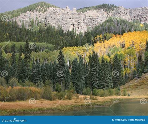 Fall Colors in the Mountains Stock Photo - Image of dirt, deer: 101832290