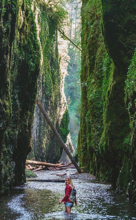 The incredible Oneonta gorge by Portland, Oregon. from Fun Life Crisis in 2020 | The incredibles ...