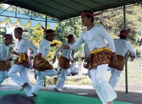 TARI SEUDATI: SEJARAH TARI SEUDATI