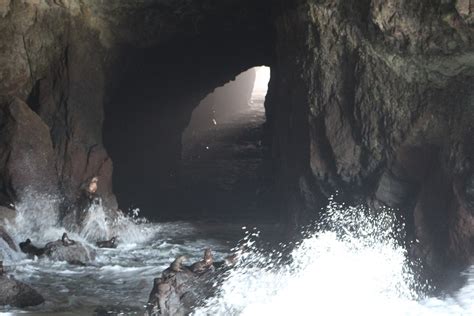 Portal To A Hidden Cave Free Stock Photo - Public Domain Pictures