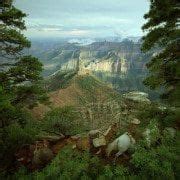 Grand Canyon Movie IMAX | Visitor Center