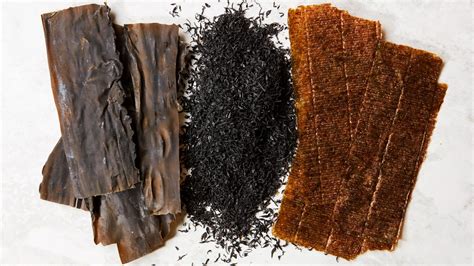 6Types of Seaweed to Know and Love | Epicurious