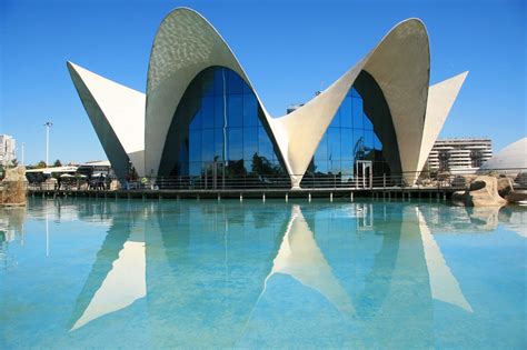 The Curiously Unique Architecture of Valencia, Spain | Shell structure, Unique architecture ...