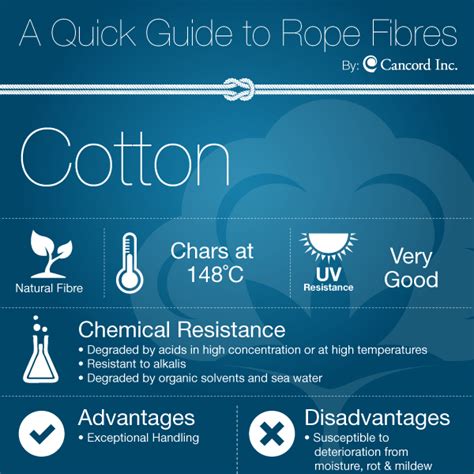 A quick guide to rope fibres | Cancord Inc.