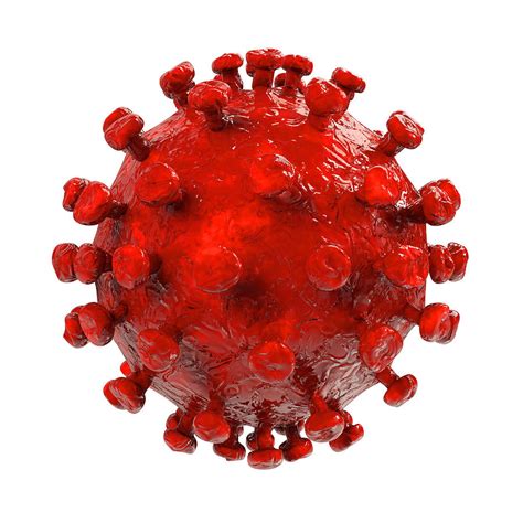 Hiv Virus - 3d Rendered Illustration Digital Art by Xt Render