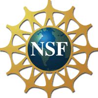 NSF Logo - LogoDix