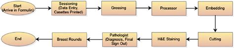 Process map of anatomic pathology. The main steps of anatomic pathology... | Download Scientific ...