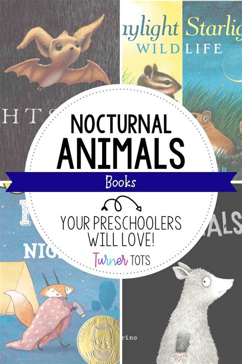 5 Nocturnal Animal Books to Show Toddlers Night Isn’t Scary