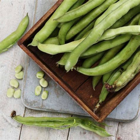 Broad Beans: Prep, Cooking + Recipes - Veggie Desserts