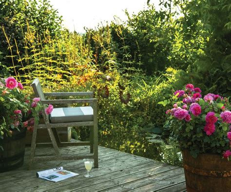 Landscaping with roses: 8 techniques to try | Homes & Gardens