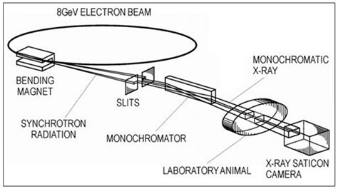 Applied Sciences | Free Full-Text | Synchrotron X-ray Radiation (SXR ...