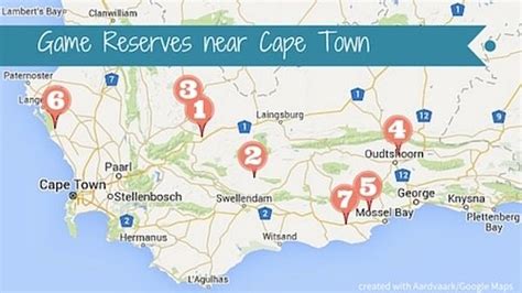 Cape Town Safari Tips | Game Drives and Safari Lodges near Cape Town