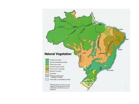 Geography & Agriculture in brazil