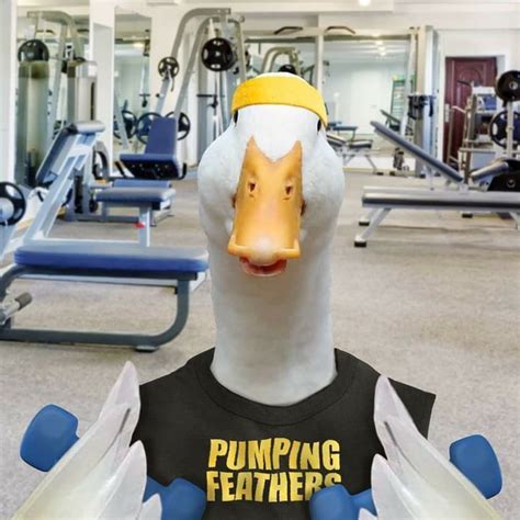 Aflac duck. You haven't seen anything yet until you see a duck with ...