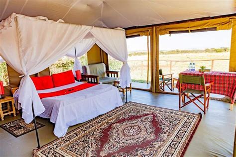 Zebra Plains Mara Camp - Evacay Africa - Leading Online Safari Operator