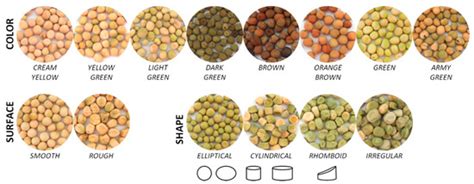 Variation in Pea (Pisum sativum L.) Seed Quality Traits Defined by Physicochemical Functional ...