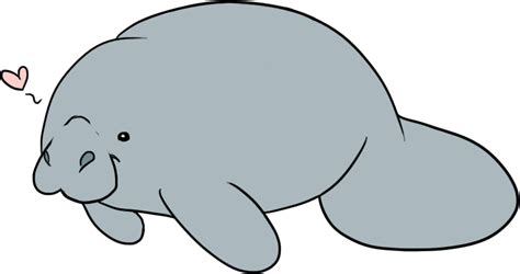 Cute Manatee Drawings Richard | Clipart Panda - Free Clipart Images