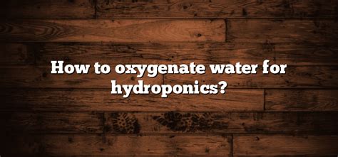 How to oxygenate water for hydroponics? - Inter Culturalu