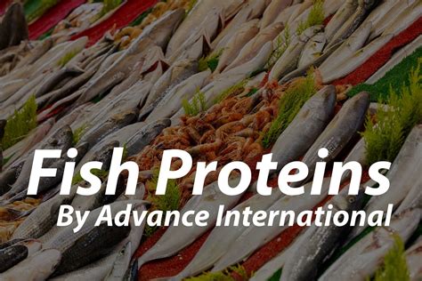 Benefits Of Fish Proteins - Advance International, Inc.