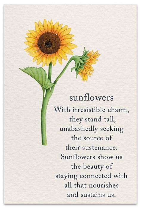 Meanings of Life - Page 6 of 7 - Cardthartic in 2021 | Flower quotes, Sunflower quotes, Flower ...