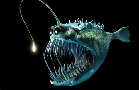 When Anglerfish male finds a suitable mate, he bites into her belly and latches on until his ...