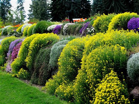 DRAPING WALL | Garden vines, Rock wall gardens, Dream garden