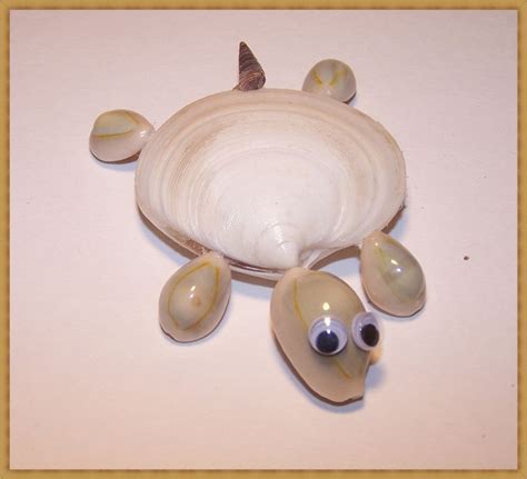 Sea Turtle Shell Crafts