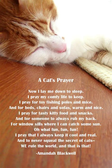 Cat loss Poems