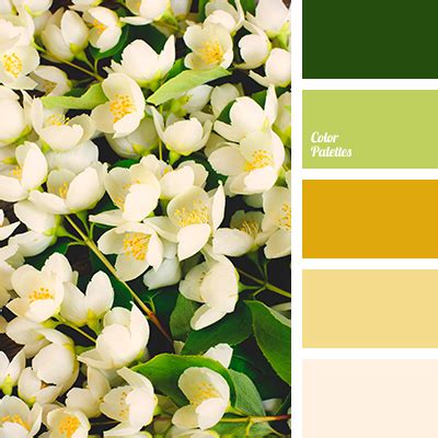 Color Palette #4004 | Color Palette Ideas