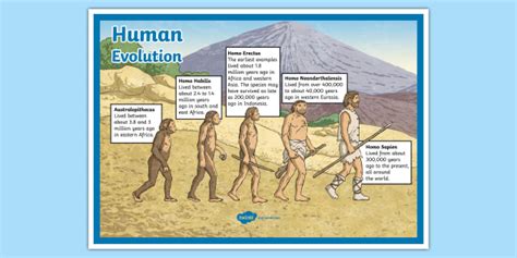 Did humans evolve from fish? - Twinkl Homework Help - Twinkl