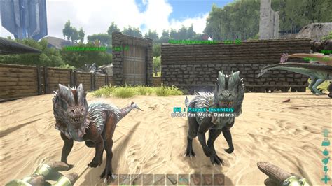 Image - ARK-Dilophosaurus Screenshot 004.jpg | ARK: Survival Evolved ...