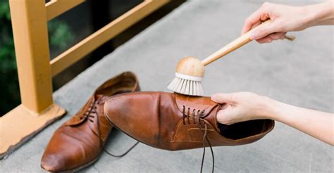 Best Tips to Clean Mold off Shoes | How to Clean Moldy Shoes