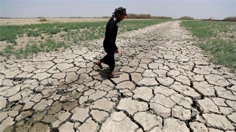 Iraq's Garden of Eden Now 'Like a Desert'