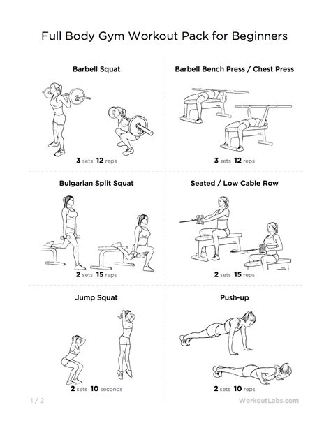 Full Body Gym Workout Pack for Beginners