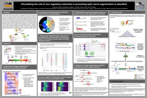 Graduate Cell and Molecular Biology Symposium Posters - Biological Sciences