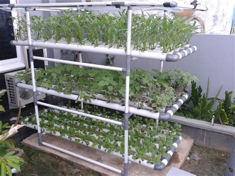 How To Make Easy Hydroponics at Home and Urban Farmer ~ Independent ...