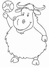 Coloring Yak Pages Kids Cow Highland Colouring Large Clipart  sketch template